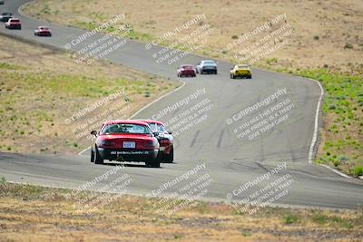media/May-04-2025-Lucky Dog Racing (Sun) [[21629467aa]]/Turn 6 (910-930am)/